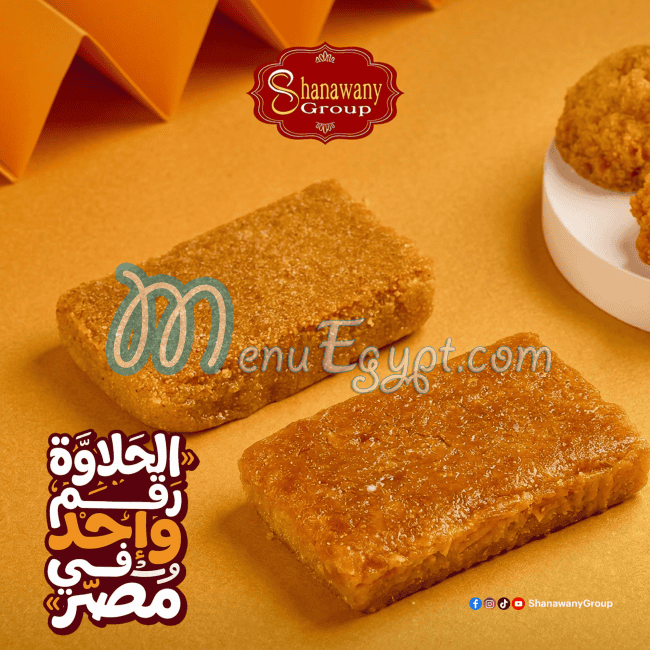Shanawany Group egypt