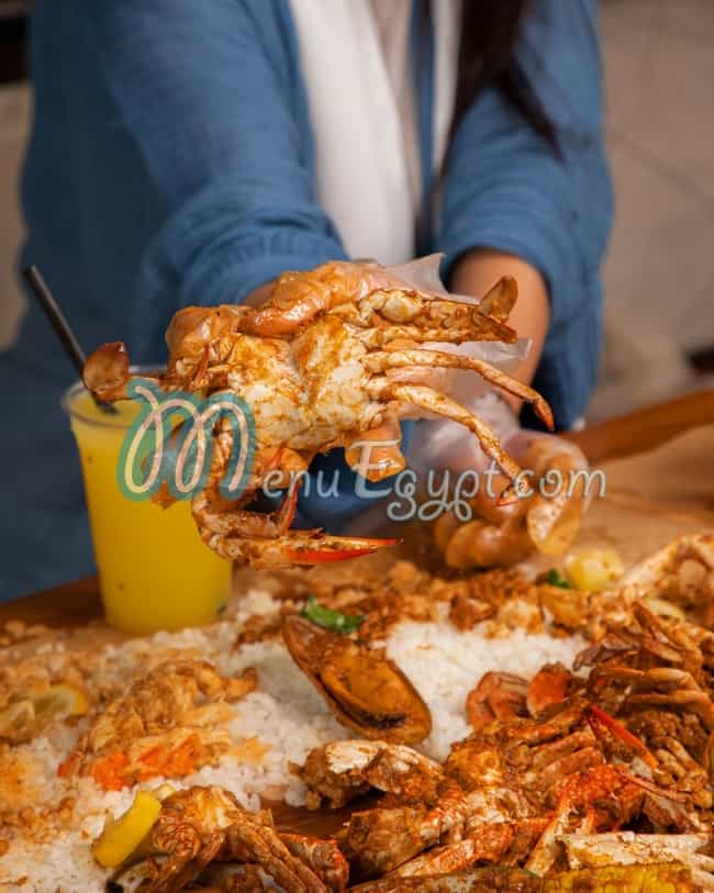 شريمب نيشن مصر