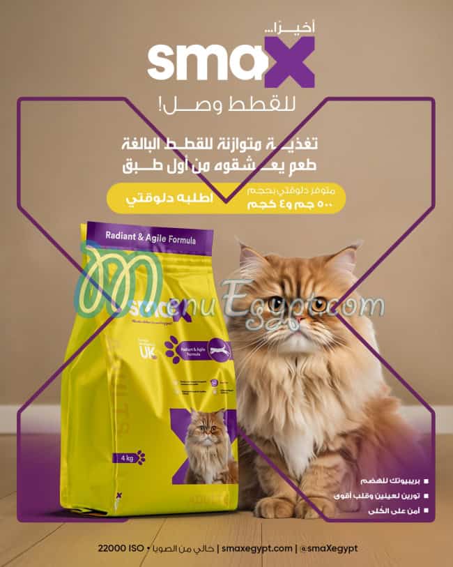 Smax Egypt delivery
