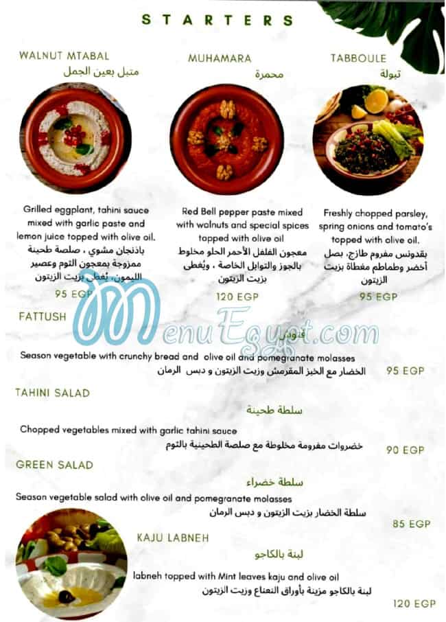 منيو ستارترز