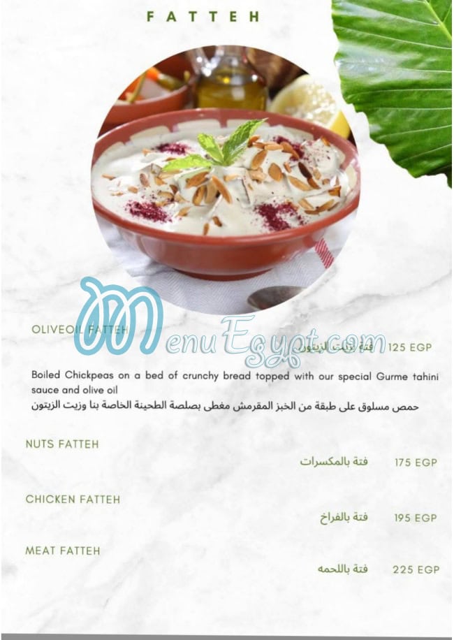 ستارترز مصر الخط الساخن