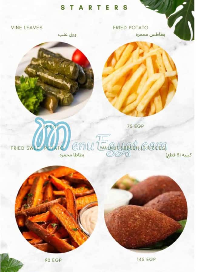 رقم ستارترز مصر