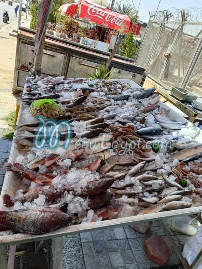 Suez Canal Fish delivery