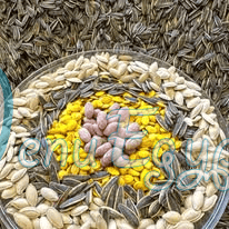 تسالي العبور مصر منيو بالعربى