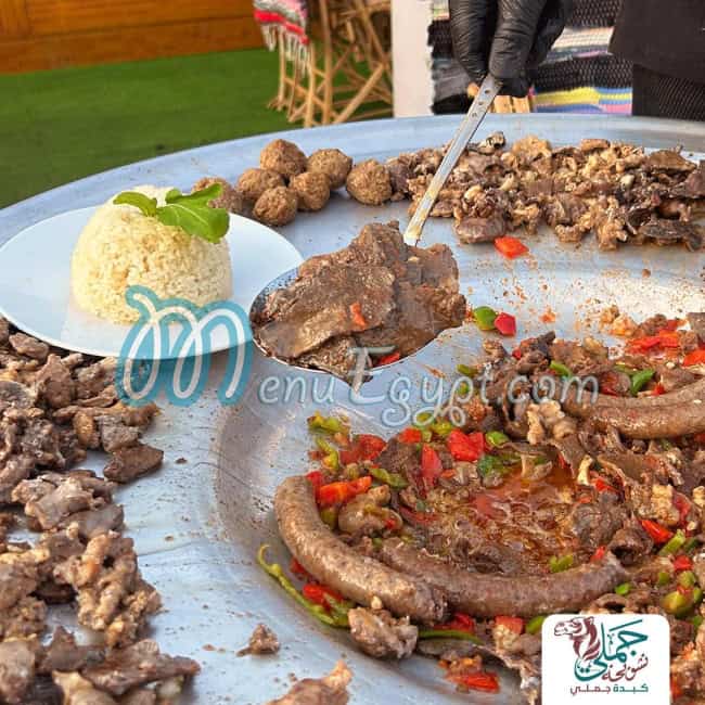 تشويحة جملي مصر الخط الساخن