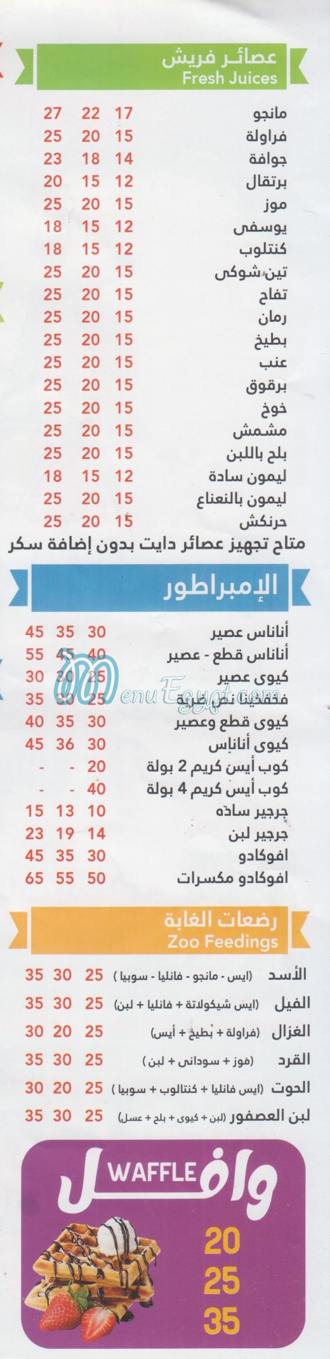 تستي فروتي مصر الخط الساخن