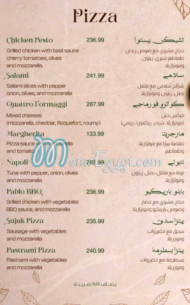 ذا شاين مصر