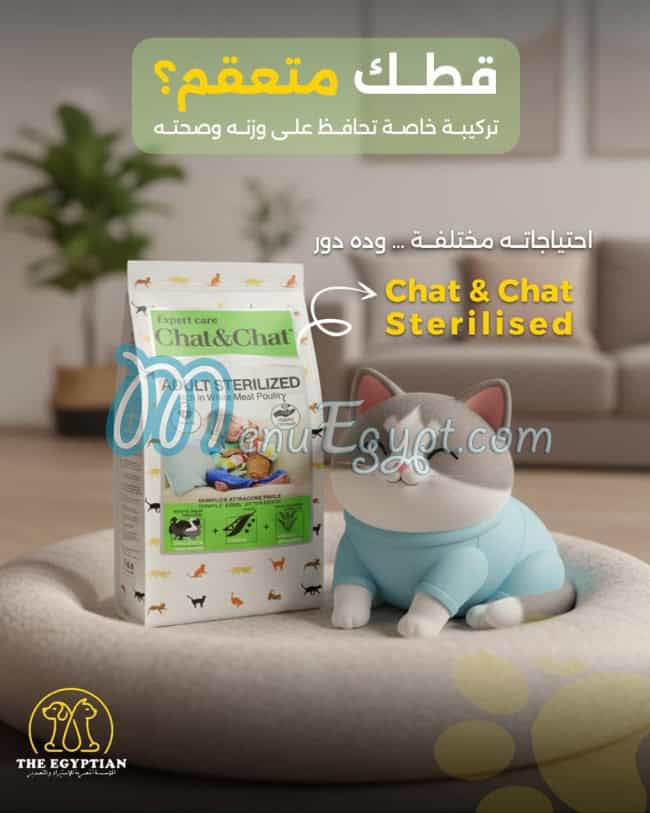 The Egyptian menu Egypt