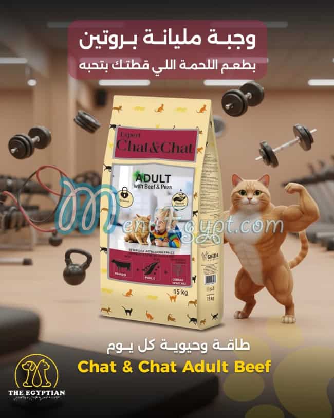 The Egyptian delivery