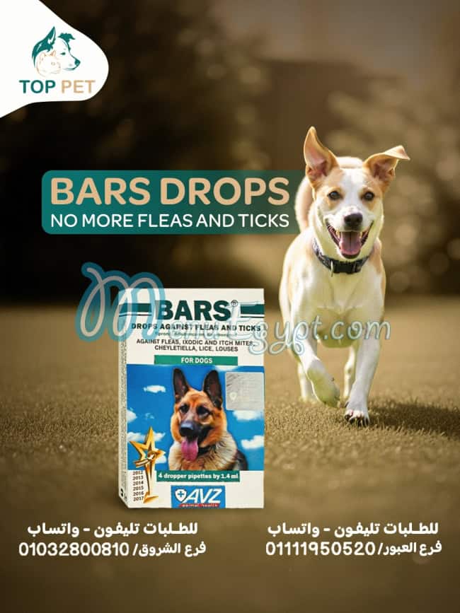 Top Pet menu Egypt 3