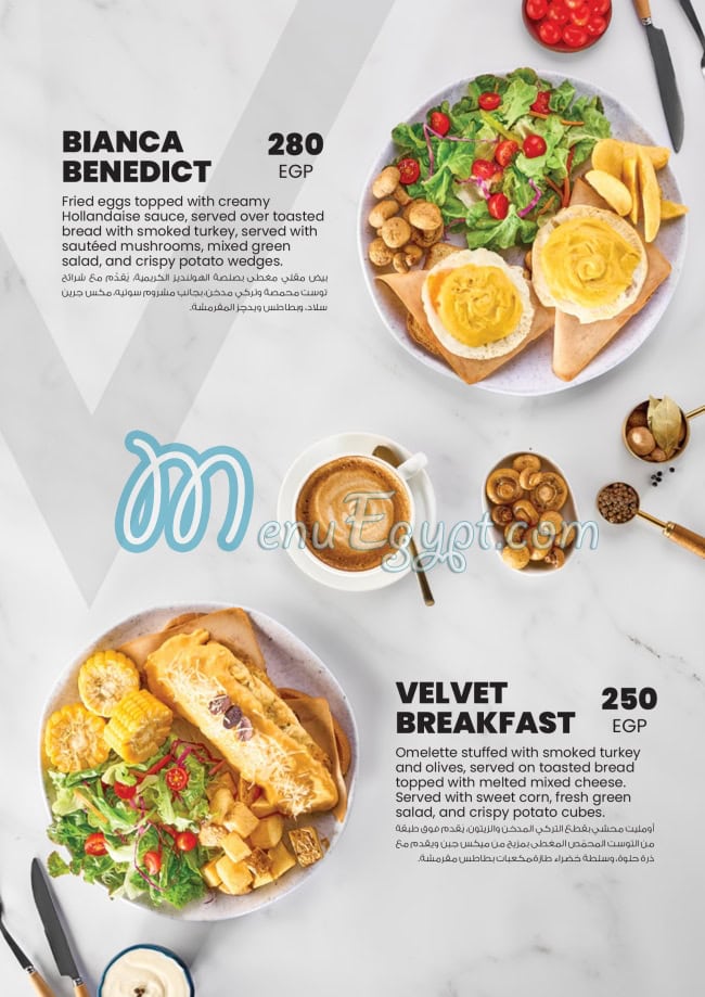 فيلفيت رستوران اند كافيه مصر