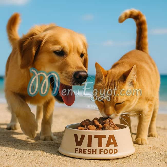 Vita Fresh Food egypt