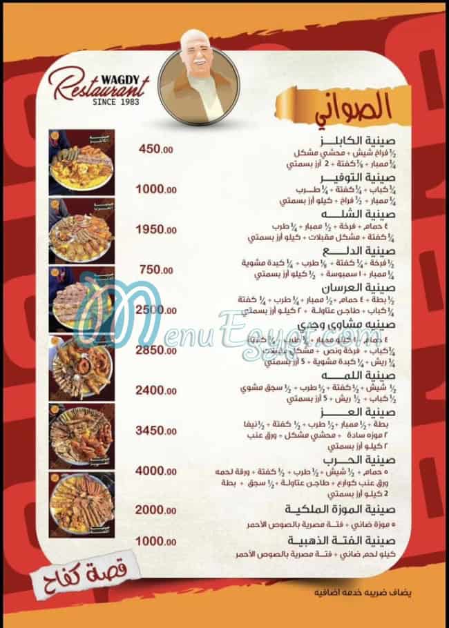 وجدي مصر