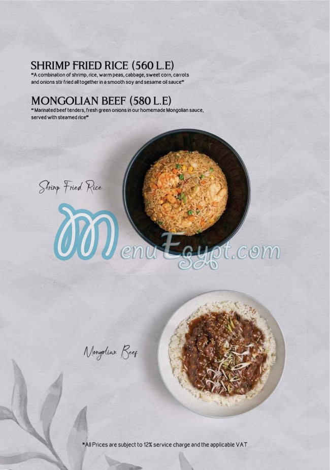 أسعار ويلوز مصر