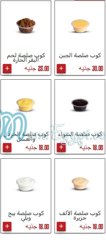ويليز كيتشن مصر