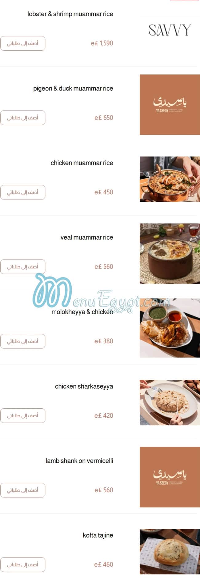 منيو ياسيدي مصر 2