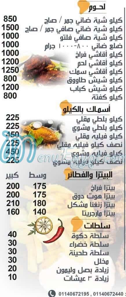 زنغنا مصر الخط الساخن