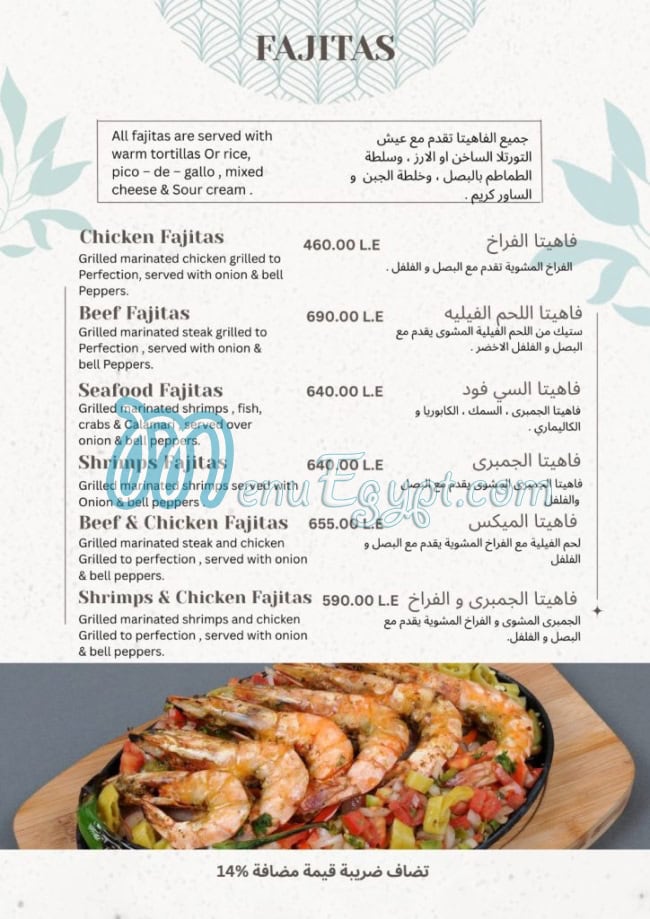 زانيلي مصر