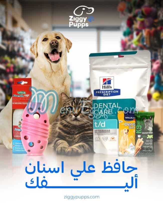 منيو زيجي بابس