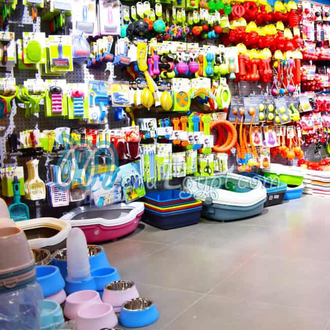 منيو زيجي بابس