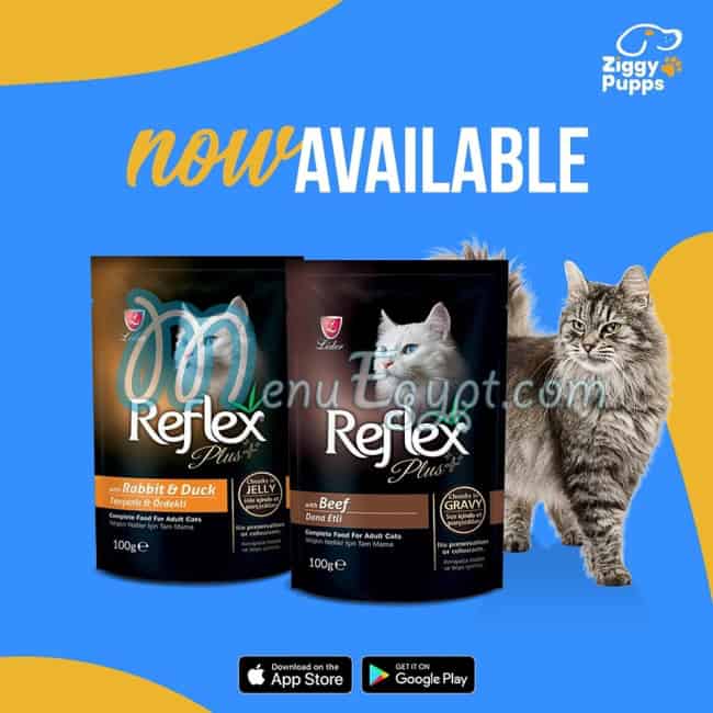 زيجي بابس منيو