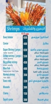 المراكبى بلو سي فود مصر الخط الساخن