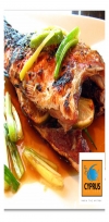 Cyprus Seafood menu Egypt 4