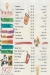Manoucheh menu Egypt