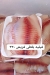 أسعار أسماك أبو ياسمين مصر