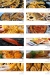 Asmak Anwar El Mahmouda menu