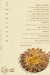 El Rayan Restaurant online menu