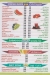 Family  Fruit online menu