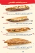Fanshy delivery menu
