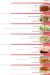 Gelateria Roma menu Egypt 3