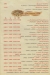 Pizza Top menu prices