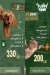 Puppy Food menu Egypt