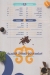 Shashlik menu prices