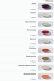 تو بروز مصر الخط الساخن