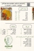 west el balad cafe & restourant menu Egypt